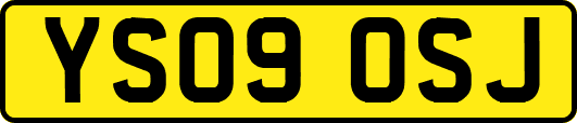 YS09OSJ