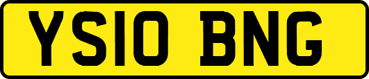 YS10BNG