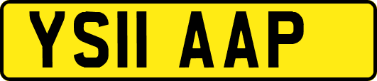 YS11AAP