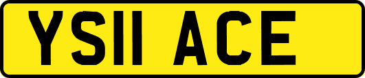 YS11ACE