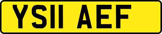 YS11AEF