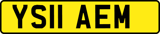 YS11AEM
