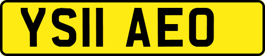 YS11AEO
