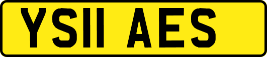 YS11AES
