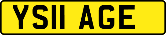 YS11AGE