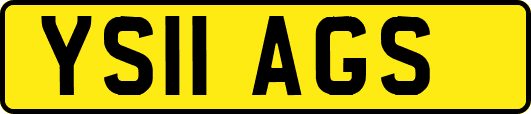 YS11AGS