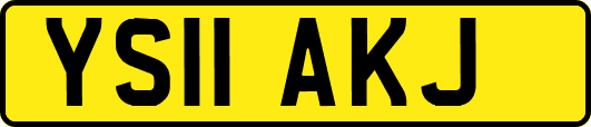 YS11AKJ