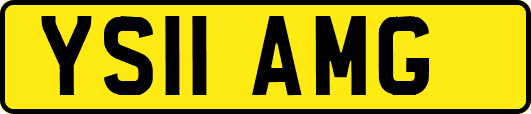 YS11AMG