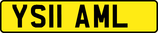 YS11AML