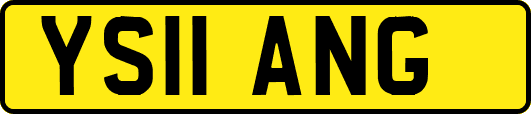 YS11ANG
