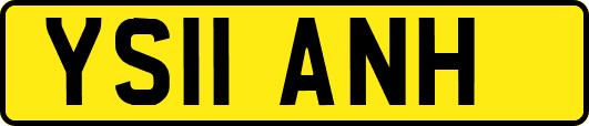 YS11ANH
