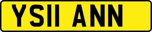 YS11ANN