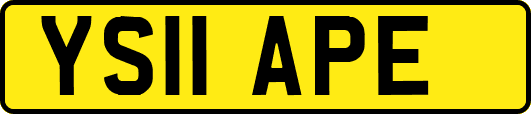 YS11APE