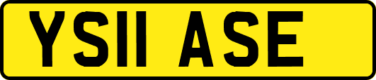 YS11ASE