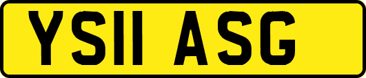 YS11ASG