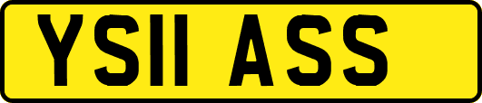 YS11ASS