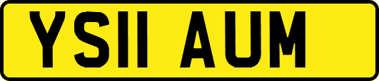 YS11AUM