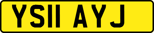 YS11AYJ