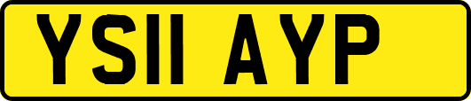 YS11AYP