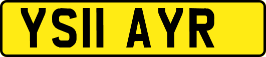 YS11AYR