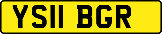YS11BGR