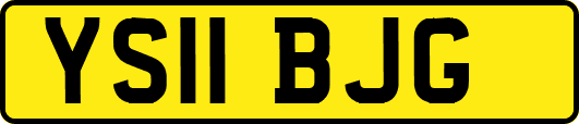 YS11BJG