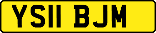 YS11BJM