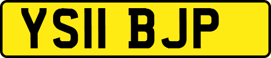 YS11BJP