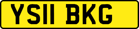 YS11BKG