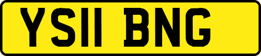 YS11BNG