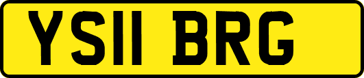 YS11BRG