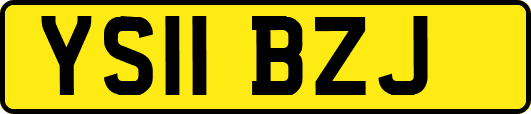 YS11BZJ