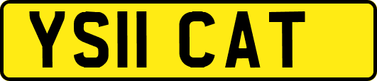 YS11CAT