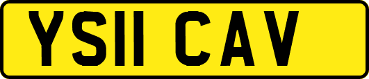 YS11CAV