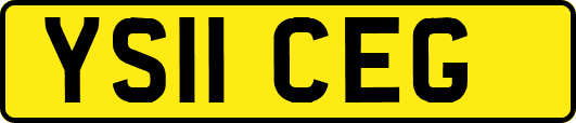 YS11CEG