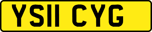 YS11CYG