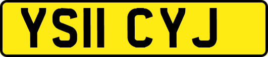 YS11CYJ