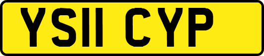 YS11CYP