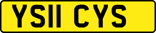 YS11CYS