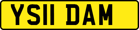 YS11DAM