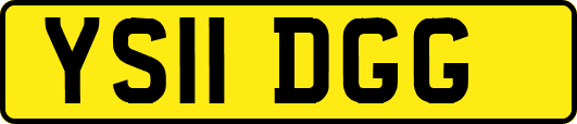 YS11DGG