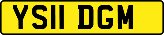 YS11DGM