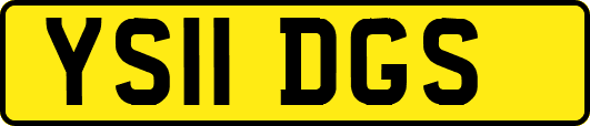 YS11DGS