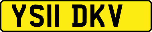 YS11DKV
