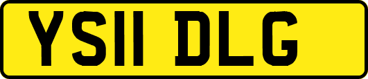 YS11DLG