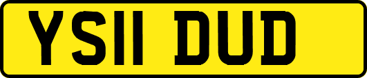 YS11DUD