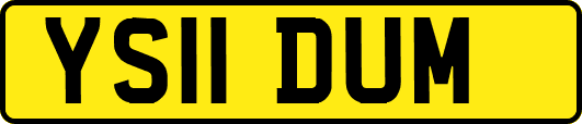 YS11DUM