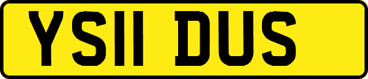 YS11DUS