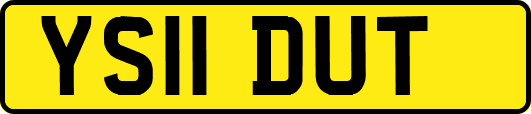 YS11DUT