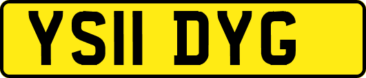 YS11DYG